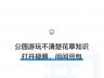 豆包上线视频通话功能：支持实时问答互动，具备视觉理解能力