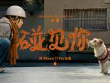 苹果2026新春短片《碰见你》首映 iPhone 17 Pro担纲全片拍摄引关注