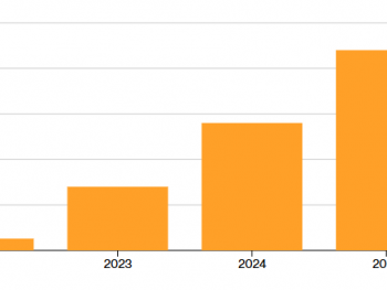 苹果 iPhone 印度制造产量今年激增53%达5500万部 占全球份额25%成第二大基地